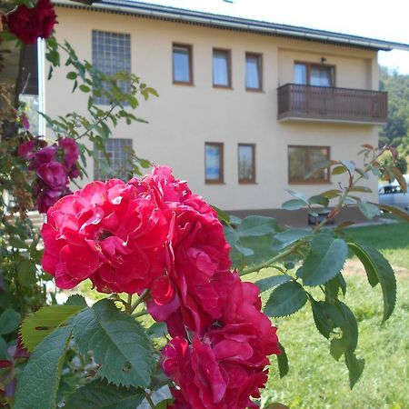 Apartments T&M Mrkopalj Luaran gambar